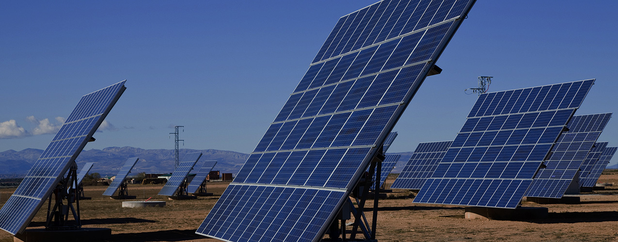 Field of Solar Panels