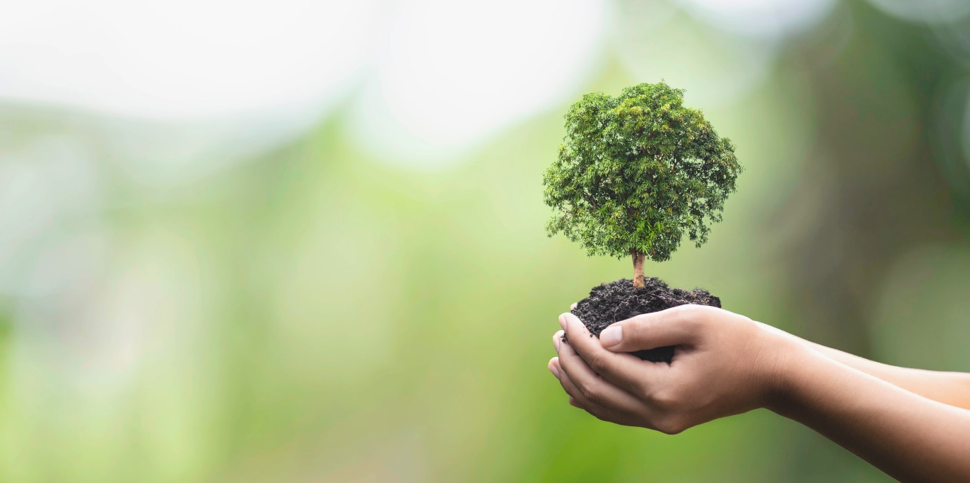 Tree planting - Biodiversa+ European Partnership