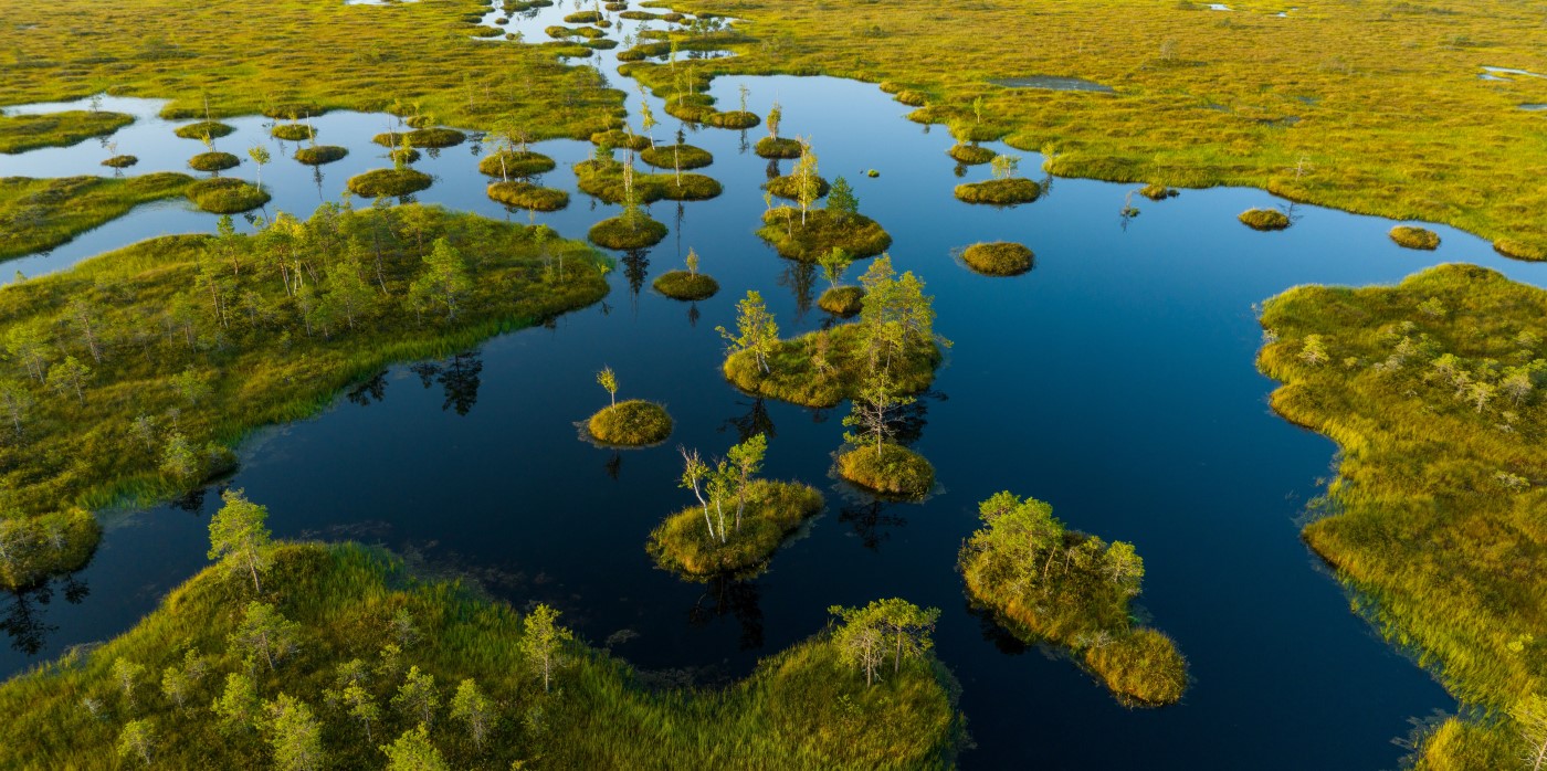 Idox Group News - Yelnya Reserve of Belarus - Water4All European Partnership Joint Transnational Call