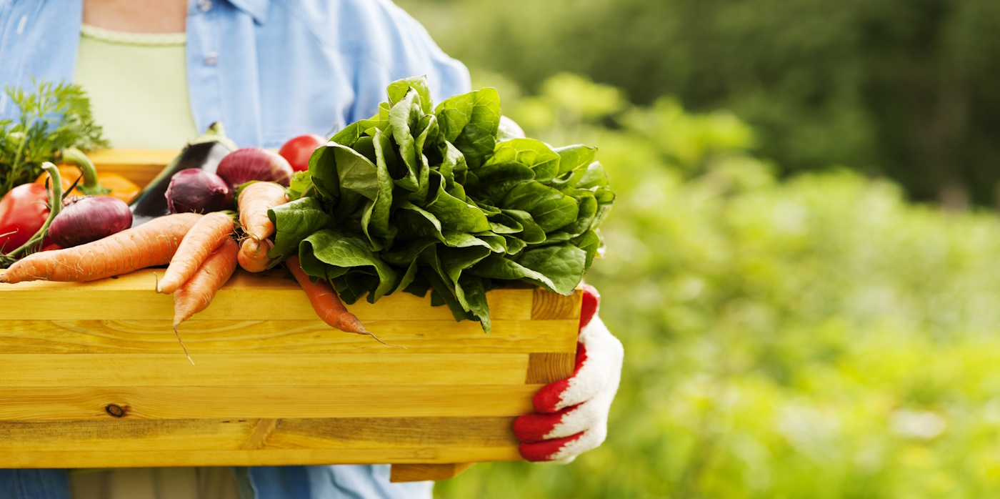 Image with produce held in a box